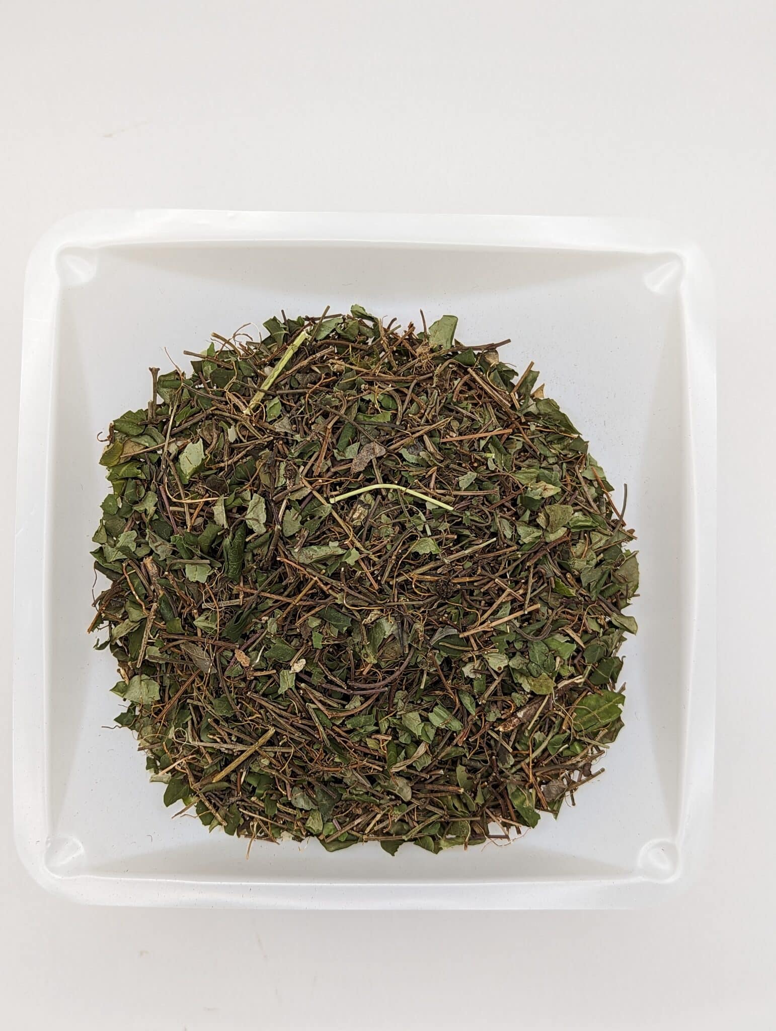 Partridgeberry