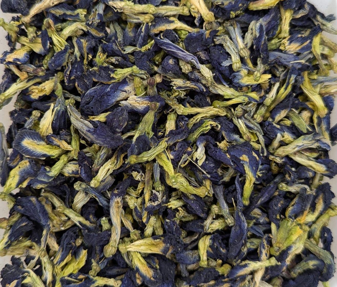 Butterfly Pea