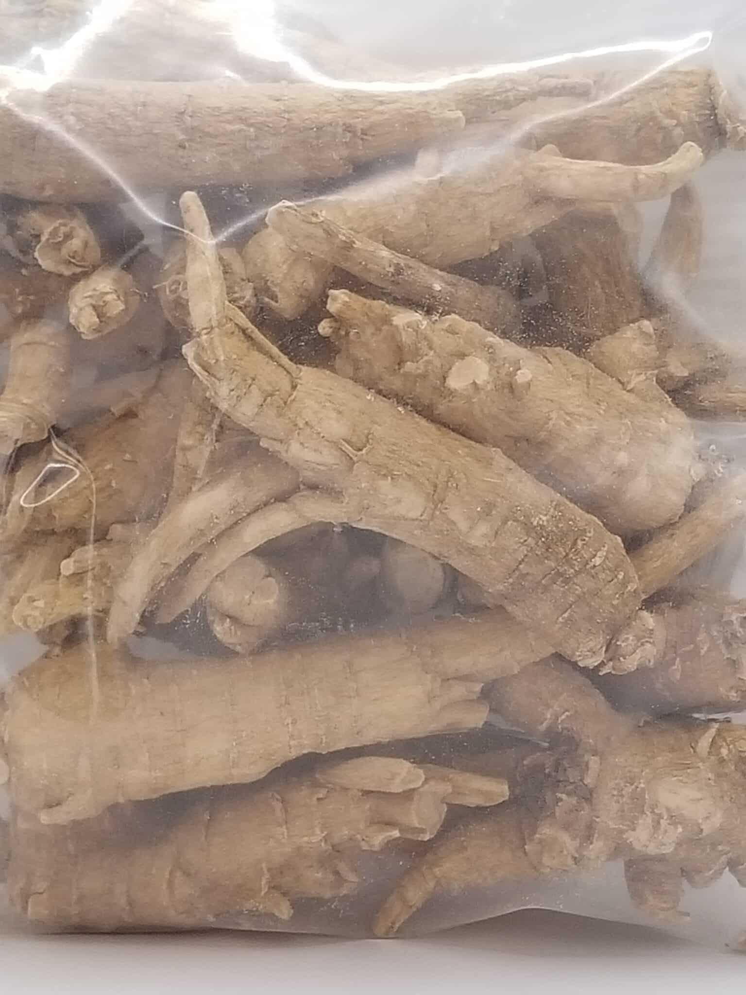 american ginseng roots wisconsin