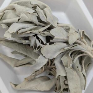 White Sage