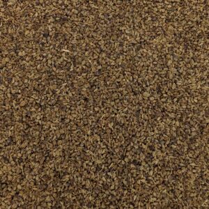 Ajwain Seed