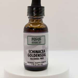 Echinacea Goldenseal Alcohol-Free Tincture – 1 oz
