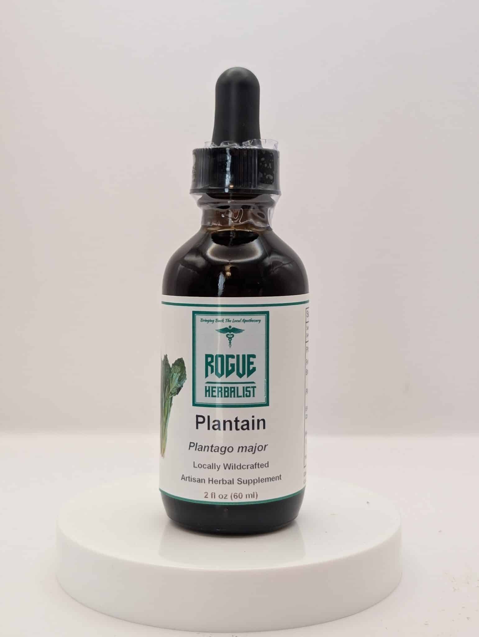 Bottle of Rogue Herbalist Plantain Tincture 2 oz made from fresh broadleaf plantain in 95% cane alcohol