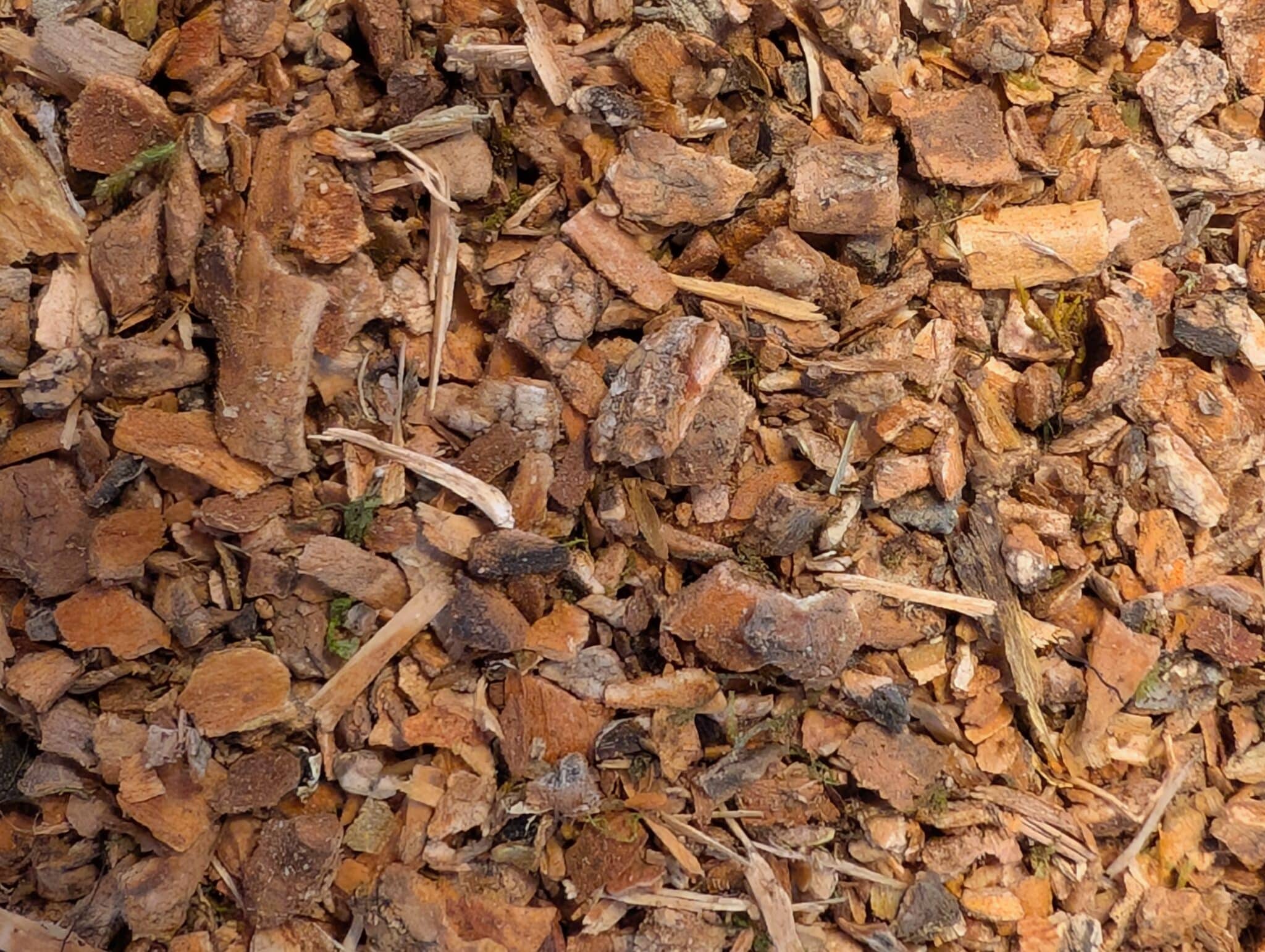 Cramp Bark, Wildcrafted, 1 oz. Bag