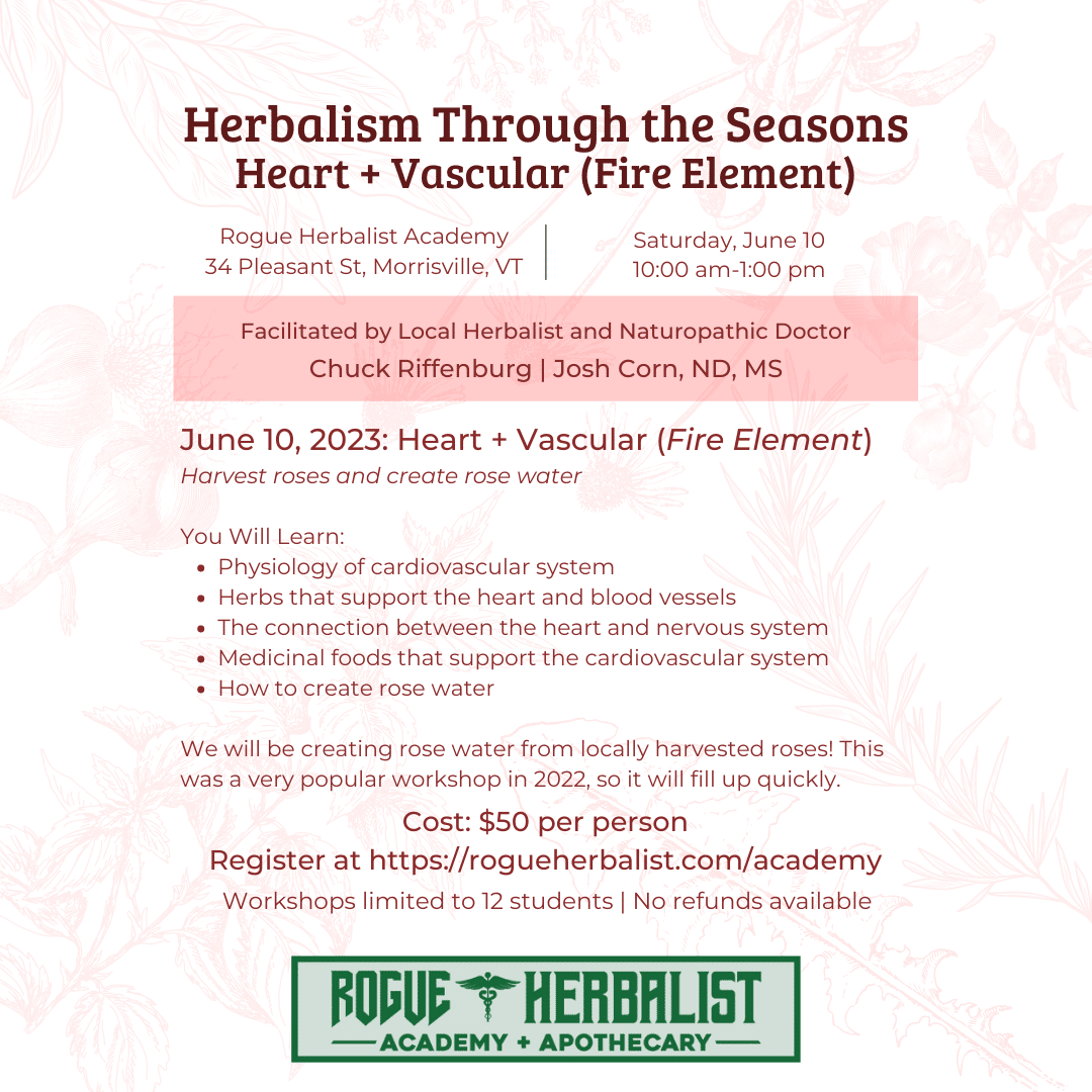 Heart & Vascular (Fire Element) Workshop