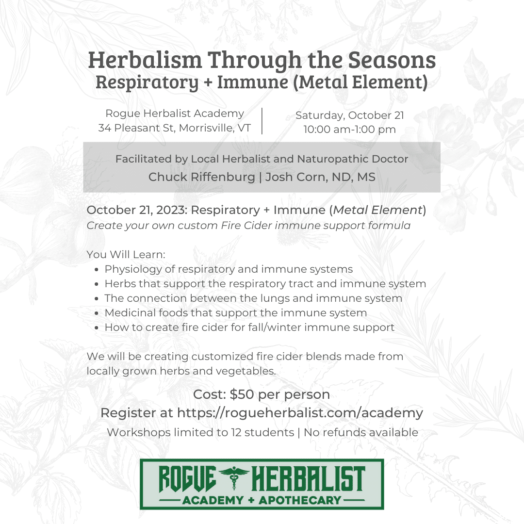 Respiratory & Immune (Metal Element) Workshop