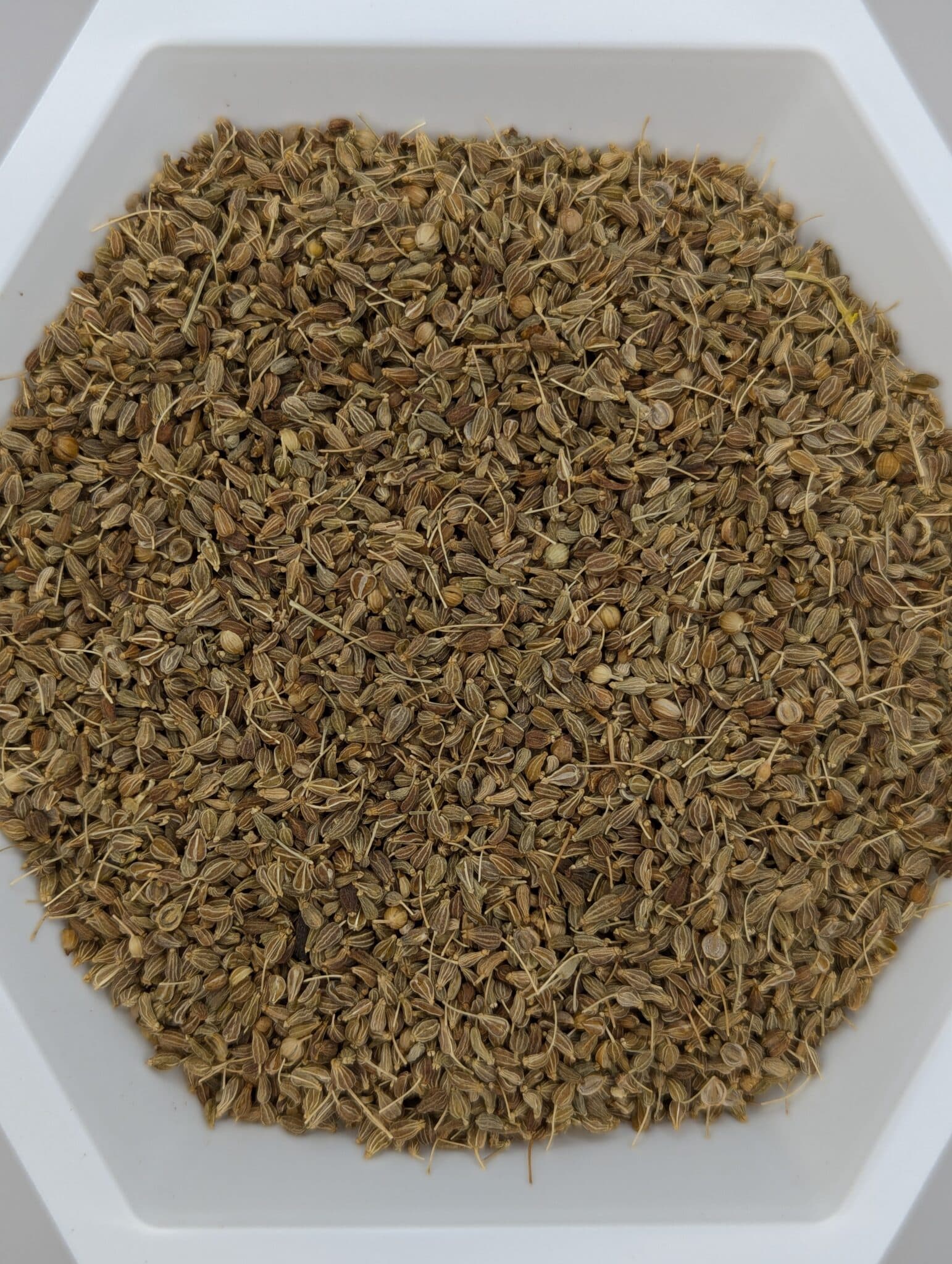 Anise Seed, Organic, 1oz. bag