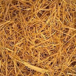 Cat's Claw Bark, Wildcrafted, 1oz. bag