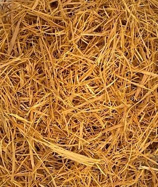 Cat's Claw Bark, Wildcrafted, 1oz. bag