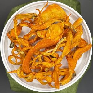 Cordyceps Mushrooms USA Grown - 1oz. jar
