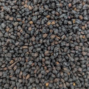 Elderberry, Organic, 1oz. bag