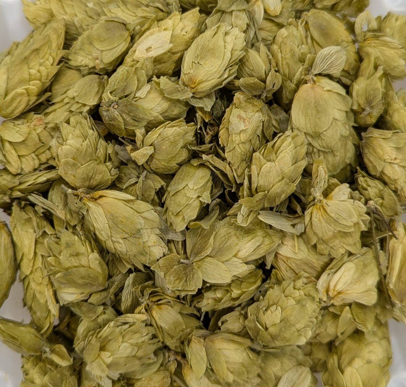 Hops Flowers, Organic, 1oz. bag
