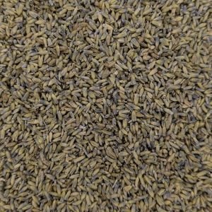 Lavender, Organic, 1oz. bag