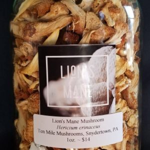 Lion's Mane Mushroom 1oz. bag