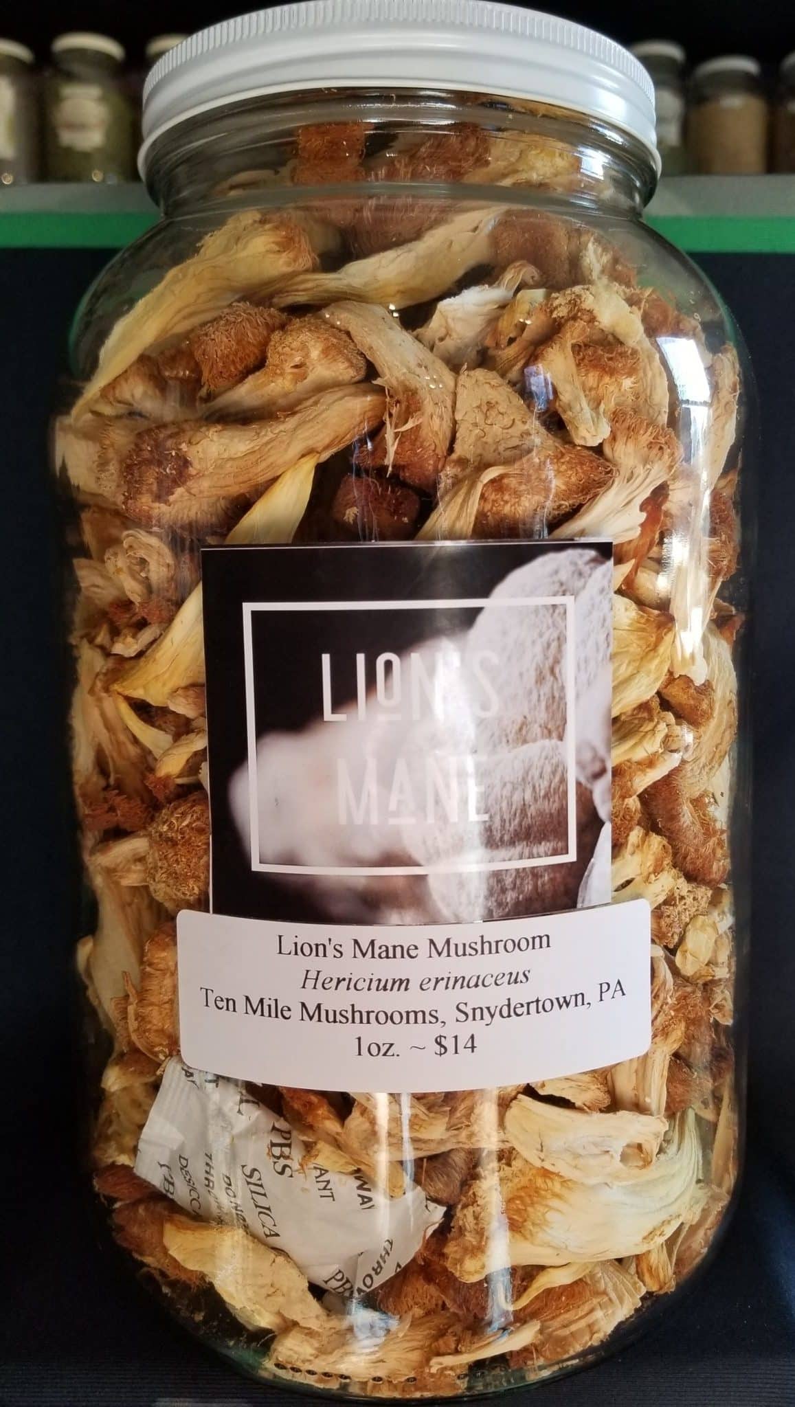 Lion's Mane Mushroom 1oz. bag