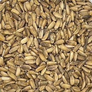 Milk Thistle Seed, Organic, 1oz. bag