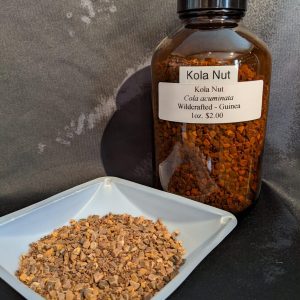 Kola Nut, Wildcrafted, 1oz. bag