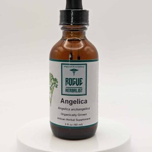 Angelica Root Tincture 2oz.