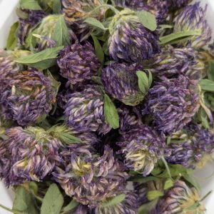 Red Clover Herb, Organic, 1oz. bag
