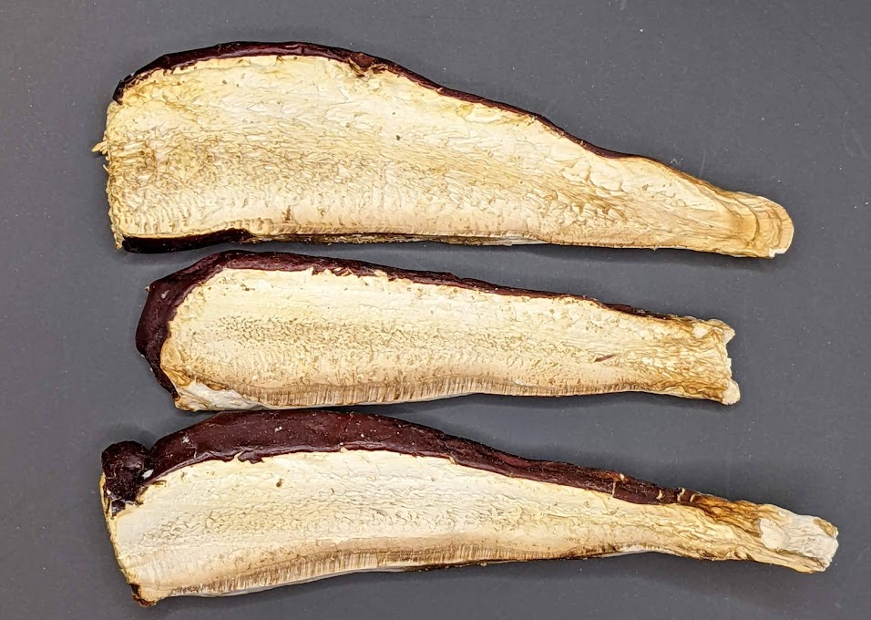 Reishi Slices, Wildcrafted, 1oz. bag
