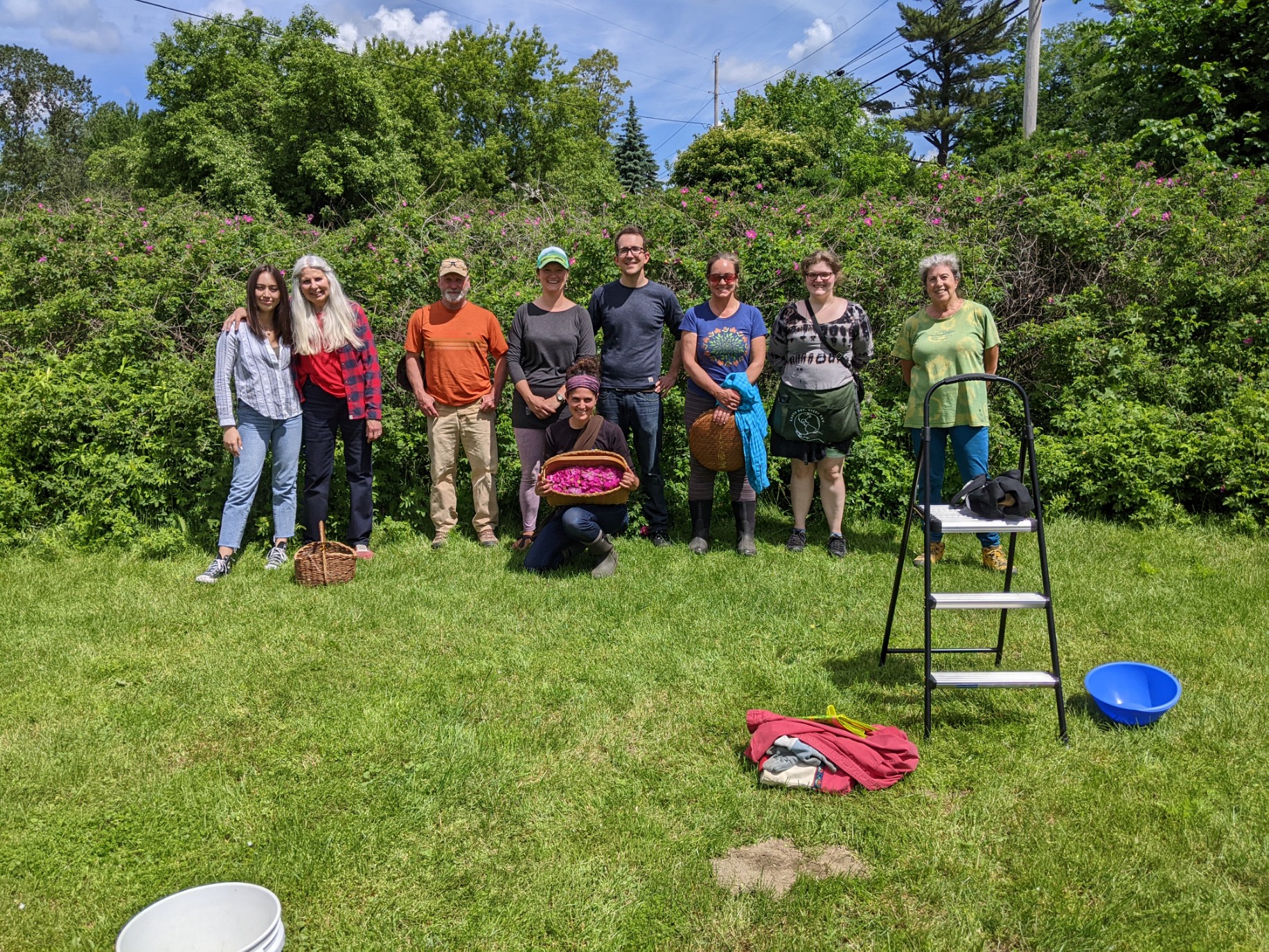 Heart & Vascular (Fire Element) Workshop - Image 2