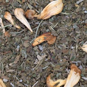 Focus and Cognition Tea Blend